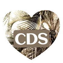 California Design Success